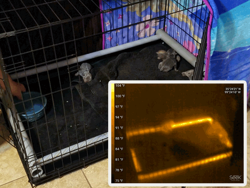 Heated Whelping Box – Love My Pups